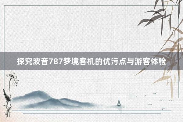 探究波音787梦境客机的优污点与游客体验